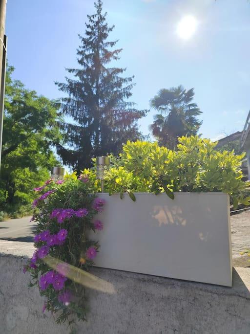 Studio Apartman Tadic Matulji Kültér fotó